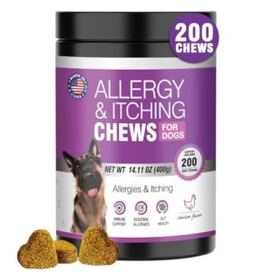 Read more about the article Best Allergy Medicine for Dogs: Top Itch Relief Chews for Healthy Skin