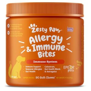 Read more about the article Best Allergy Medicine for Dogs With Itchy Skin: Top Relief Chews Reviewed