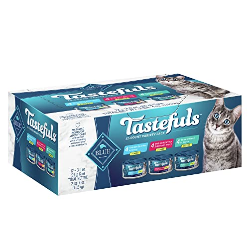 Read more about the article Best Can Cat Food for Indoor Cats: Top Tasty Wet Food Variety Packs