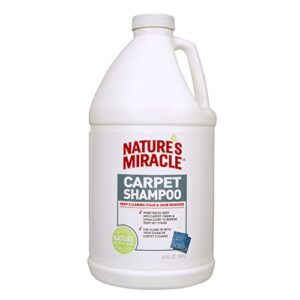 Read more about the article Best Carpet Shampoo for Cat Urine: Top Solutions to Remove Stains & Odors