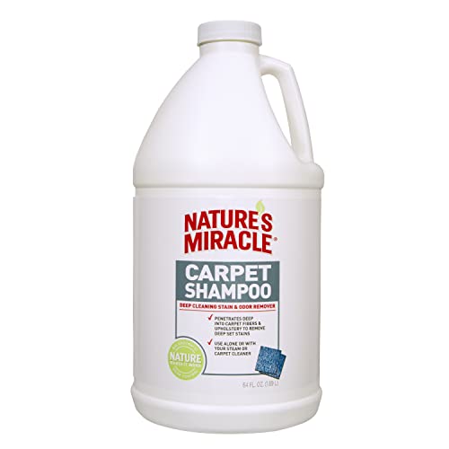 You are currently viewing Best Carpet Shampoo for Cat Urine: Top Solutions to Remove Stains & Odors