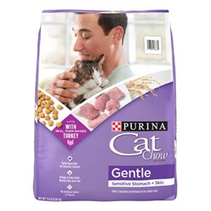 Read more about the article Best Cat Food for Cats That Throw Up: Top Sensitive Stomach Picks