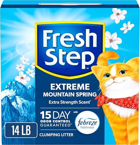 Read more about the article Best Cat Litter for Kittens: Top Odor Control and Easy Clumping Picks