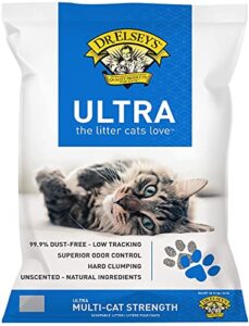 Read more about the article Best Cat Litter for Odor Control And Dust-Free Comfort for Cats