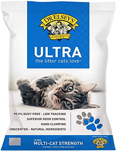 Read more about the article Best Cat Litter for Odor Control And Dust-Free Comfort for Cats