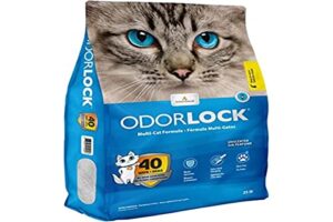 Read more about the article Best Cat Litter for Odour Control: Top Picks for Fresh, Clean Homes