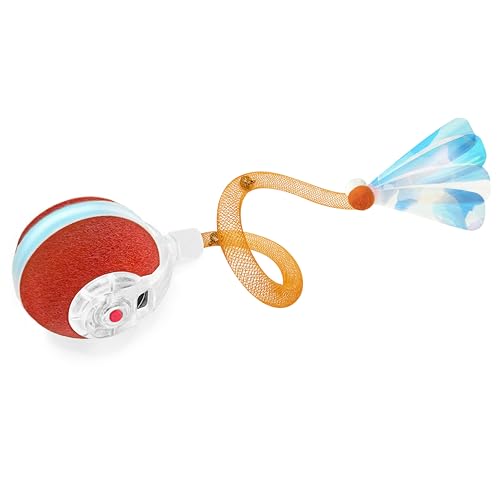 You are currently viewing Best Cat Toys for Indoor Cats to Keep Your Kitty Active and Happy