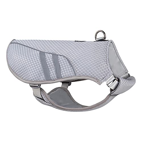 Read more about the article Best Cooling Jacket for Dogs to Beat the Heat Outdoors Comfortably