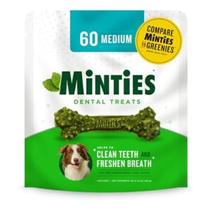Read more about the article Best Dental Chews for Dogs to Fight Plaque, Freshen Breath, and Clean Teeth