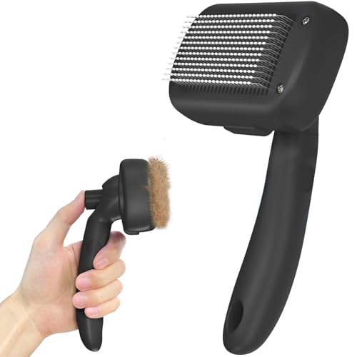 Read more about the article Best Dog Brush for Shedding: Top Picks to Reduce Fur Fast