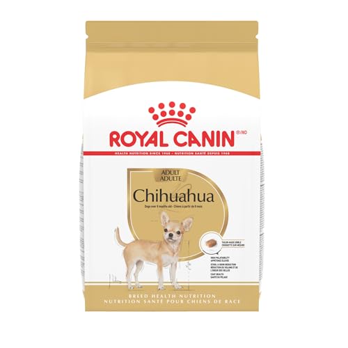 Read more about the article Best Dog Food for Chihuahua: Top Nutritious Picks for Small Breeds