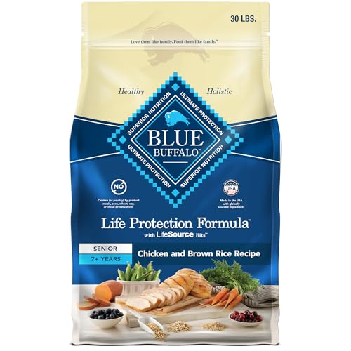 Read more about the article Best Dog Food for Senior Dogs: Top Picks for Joint Health & Vitality