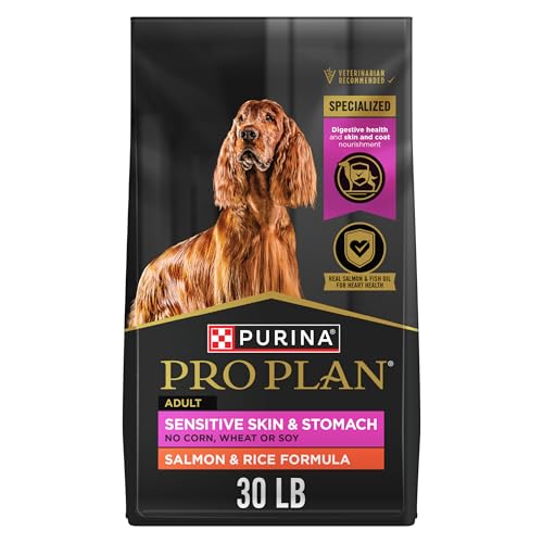 Read more about the article Best Dog Food for Sensitive Stomach: Top Picks for Gentle Digestion