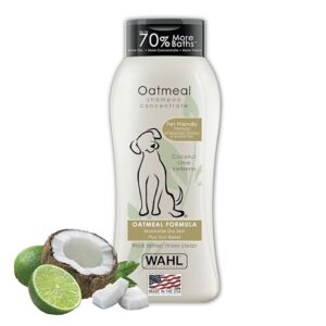 Read more about the article Best Dog Shampoo for Itchy Skin: Top Soothing Formulas for Relief
