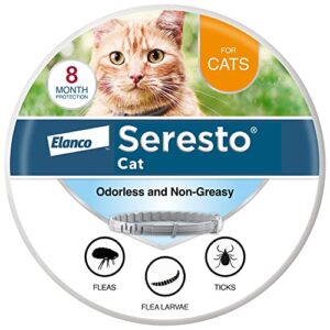 Read more about the article Best Flea Collar for Cats: Top Waterproof and Adjustable Protection Options