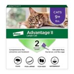 Best Flea Medication for Cats: Top Vet-Recommended Treatments Reviewed