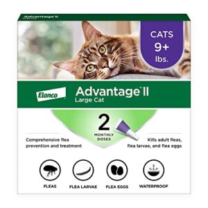 Read more about the article Best Flea Medication for Cats: Top Vet-Recommended Treatments Reviewed