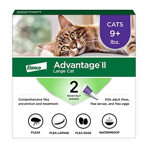 You are currently viewing Best Flea Medication for Cats: Top Vet-Recommended Treatments Reviewed