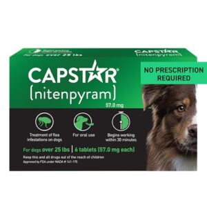 Read more about the article Best Flea Meds for Dogs: Top Fast-Acting Treatments That Work