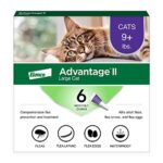 Best Flea Protection for Cats: Top Vet-Recommended Treatments Reviewed