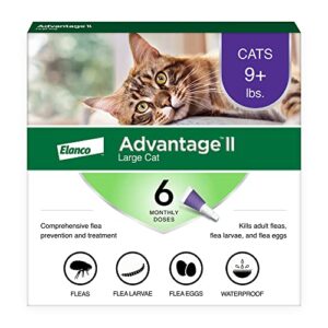 Read more about the article Best Flea Protection for Cats: Top Vet-Recommended Treatments Reviewed