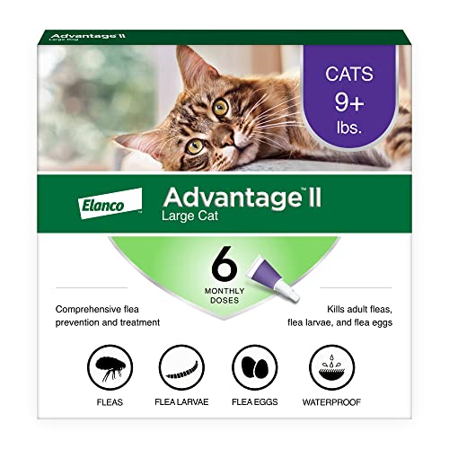You are currently viewing Best Flea Protection for Cats: Top Vet-Recommended Treatments Reviewed
