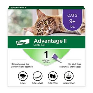 Read more about the article Best Flea Treatment for Cats: Top Vet-Recommended Solutions Reviewed