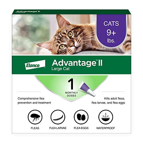 You are currently viewing Best Flea Treatment for Cats: Top Vet-Recommended Solutions Reviewed