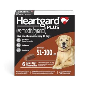 Read more about the article Best Heartworm Prevention for Dogs: Top Effective Chewables Reviewed