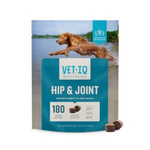 Read more about the article Best Joint Supplement for Dogs: Top Choices for Healthy, Pain-Free Mobility