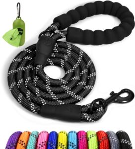 Read more about the article Best Leash for Dogs That Pull: Top Durable, Reflective, No-Pull Options