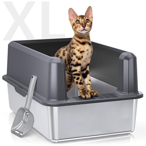 Read more about the article Best Litter Box for Large Cats: Top XL Stainless Steel Picks