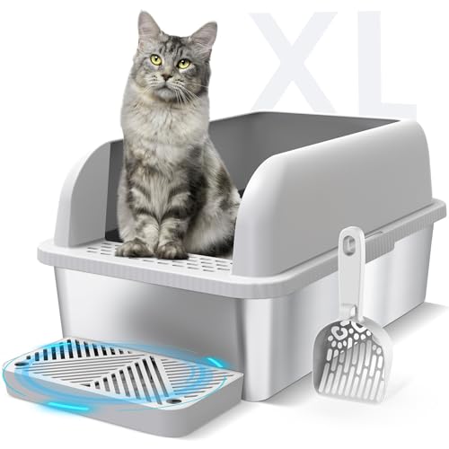 Read more about the article Best Litter Box for Multiple Cats: Top Large Stainless Steel Picks
