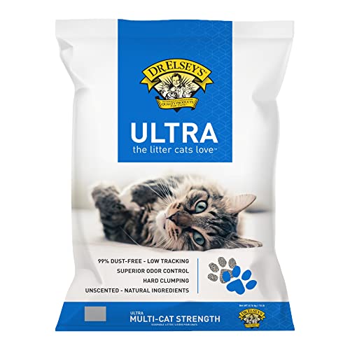 Read more about the article Best Litter for Cats: Top Odor Control & Easy Scooping Picks