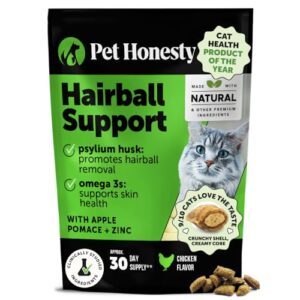 Read more about the article Best Medicine for Hairballs in Cats: Top Remedies for Fast Relief