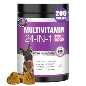 Read more about the article Best Multivitamin for Dogs: Top Supplements for Joint, Coat & Immunity