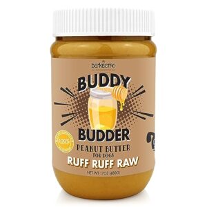 Read more about the article Best Peanut Butter for Dogs: Top Natural, Healthy Treats Made in USA