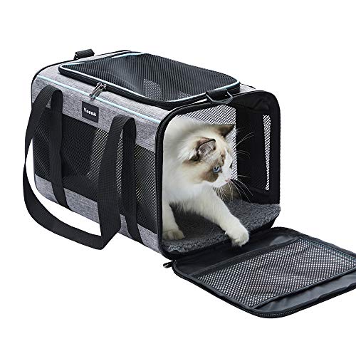 Read more about the article Best Pet Carrier for Cats: Top Comfortable and Airline Approved Options