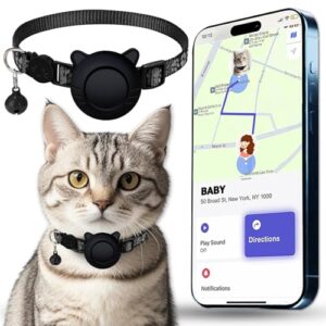 Read more about the article Best Tracking Device for Cats: Top GPS Collars with No Monthly Fee