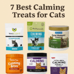 The 7 Best Calming Treats for Cats to Ease Stress Naturally